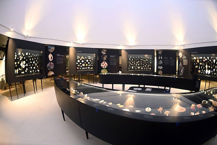 Phase One of the Great Hall of Shells. Photo: José H. Leal
